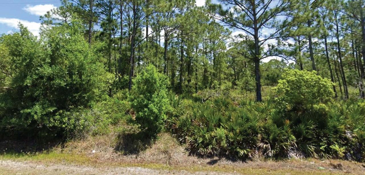 648 Pershing Ave., Lake Placid, FL 33852