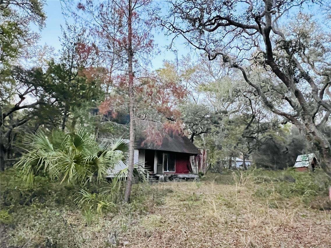 19435 SE 92nd Pl., Ocklawaha, FL 32179