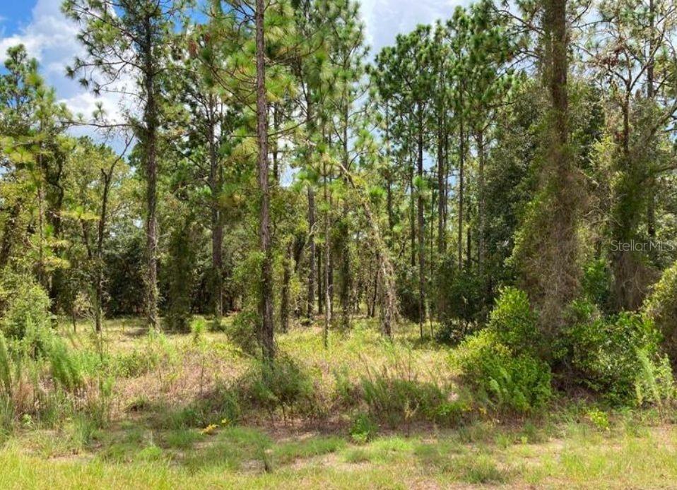 TBD SW Neptune Blvd., Dunnellon, FL 34431