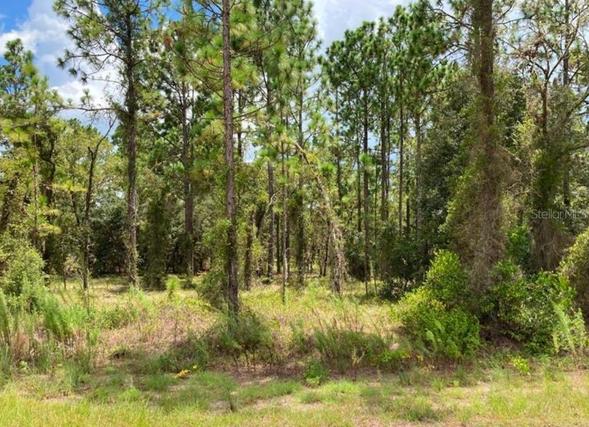Homes Just Sold That Attend Dunnellon Middle School: September 8th to September 14th