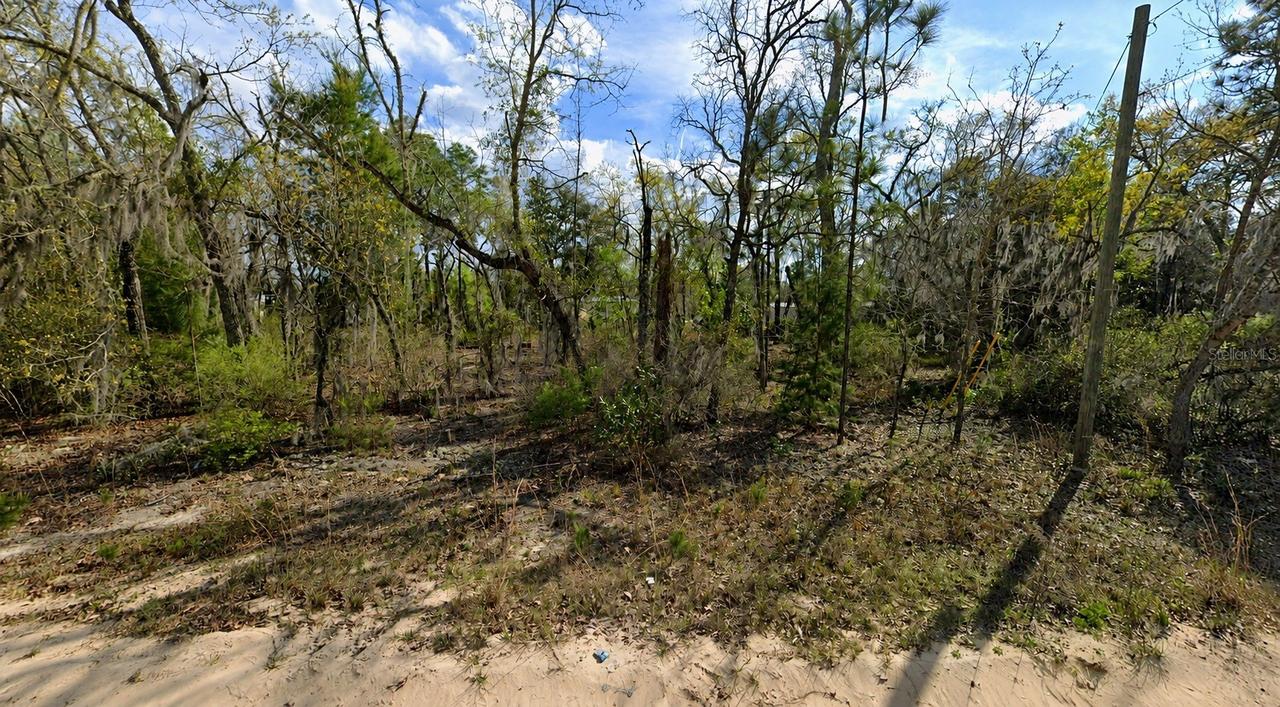 Claudia St., Interlachen, FL 32148
