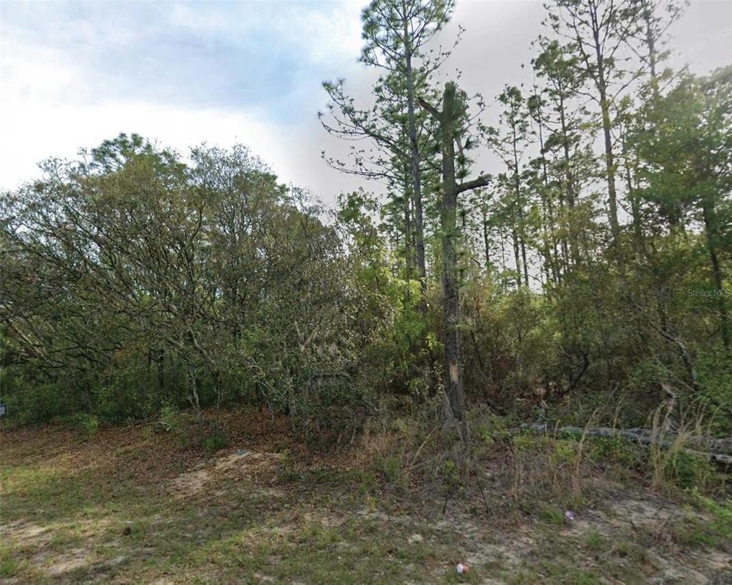 7745 N Maltese Dr., Citrus Springs, FL 34433