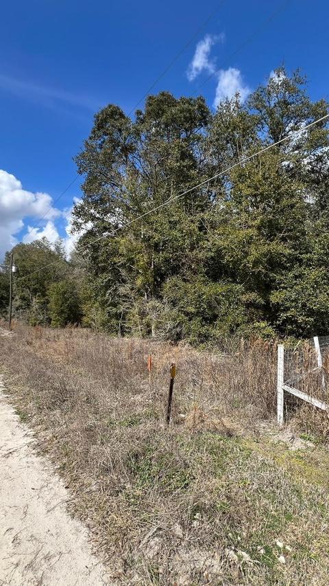 SW Sw 111 Lane Ln., Dunnellon, FL 34432