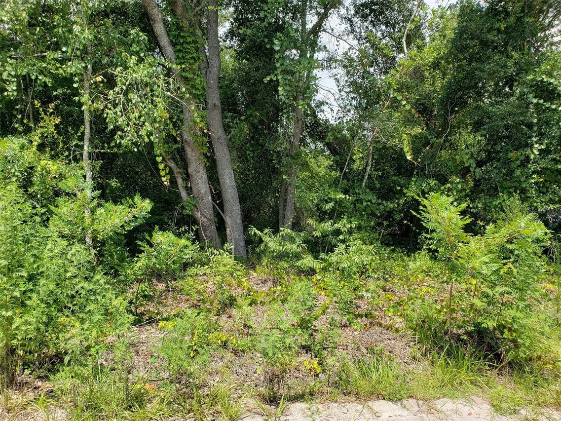 Pine Valley Dr., Paisley, FL 32767