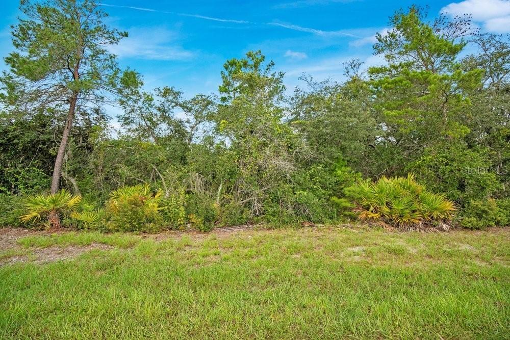 Georgia St., Paisley, FL 32767