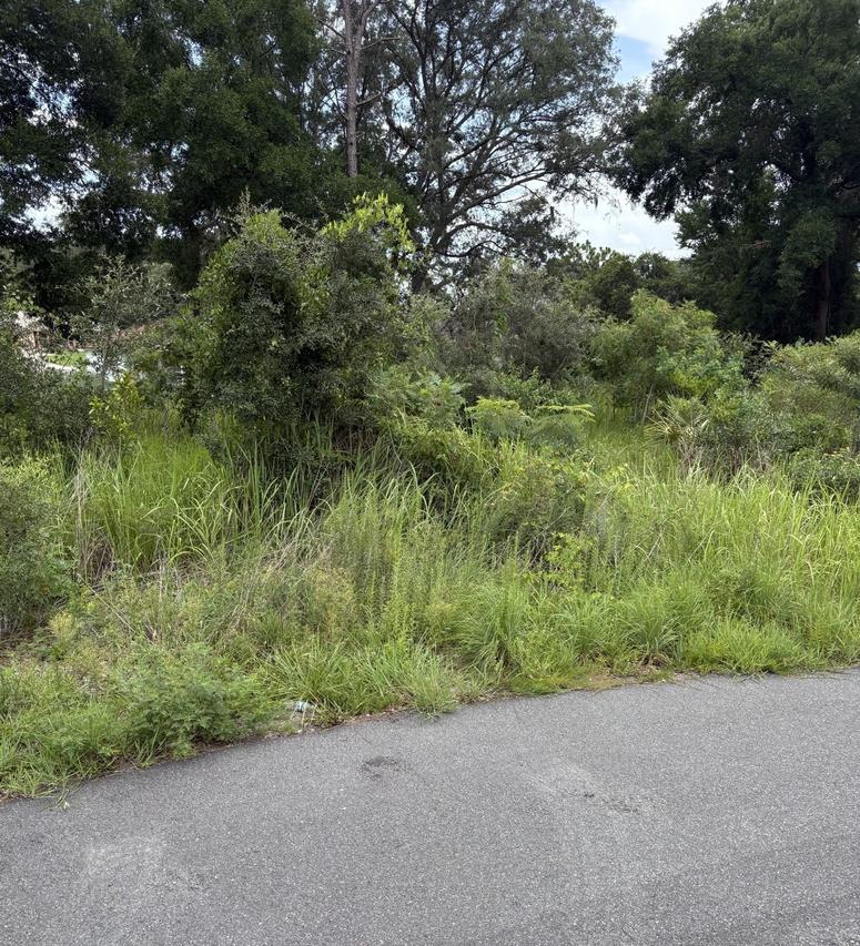 Oak Pass Run #Lot 10, Ocala, FL 34477