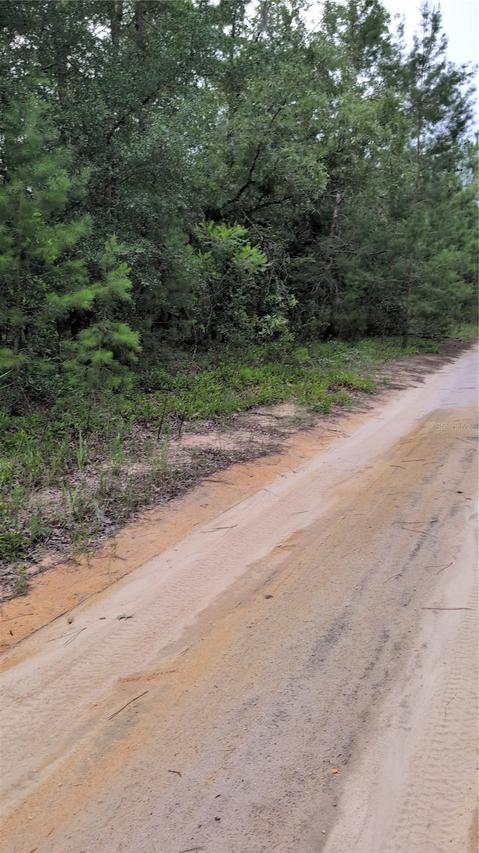 Pineway Dr., Interlachen, FL 32148