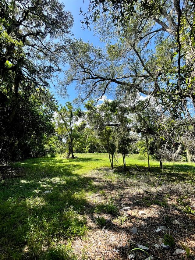 194 E 11th St., Apopka, FL 32703