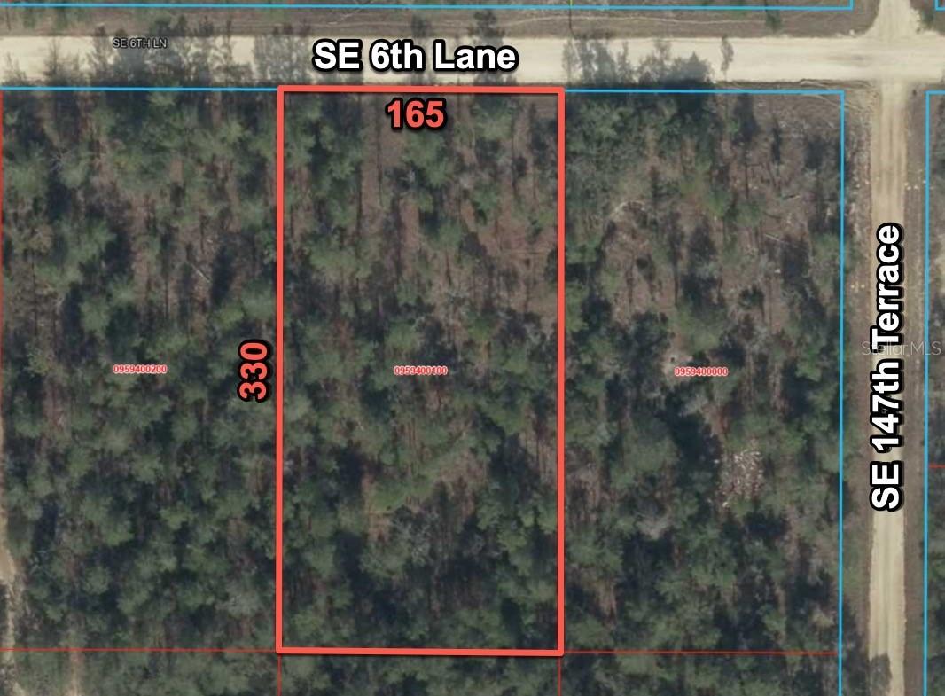 14710 SE 6th Ln., Williston, FL 32696