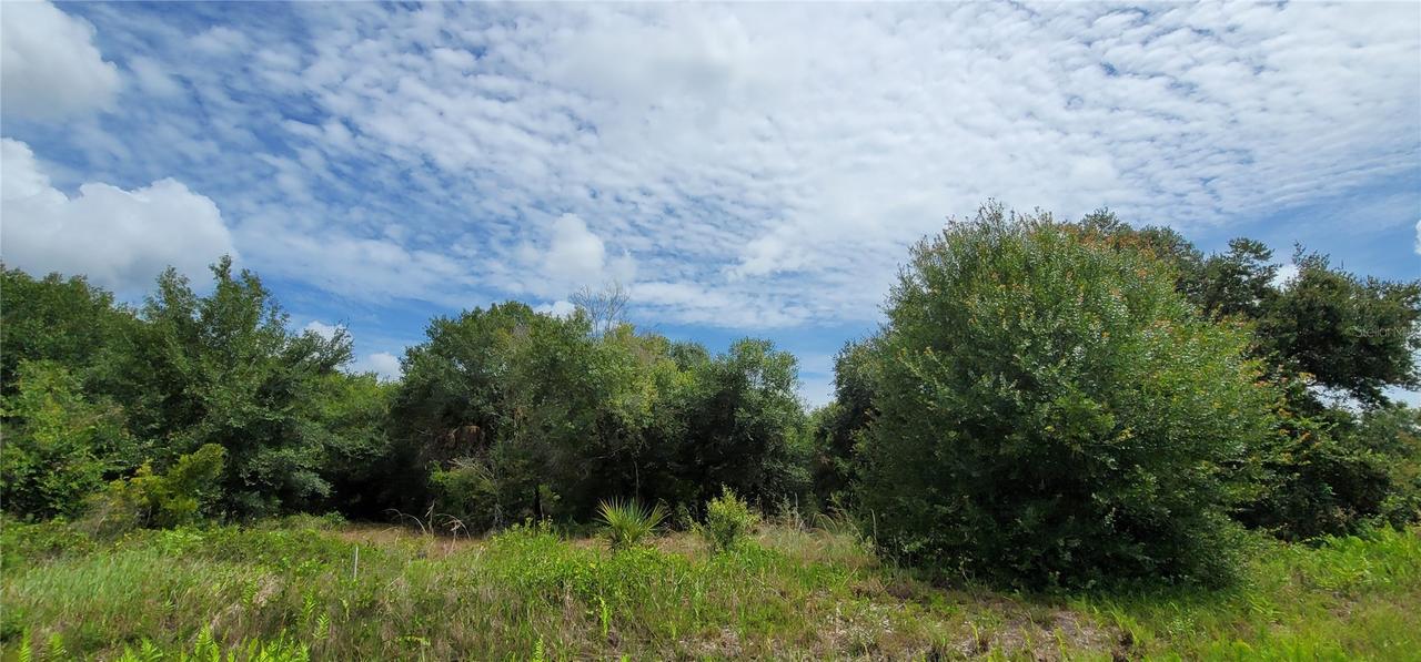NW Nw 268th Street Lot N St. #LOT N, Okeechobee, FL 34972