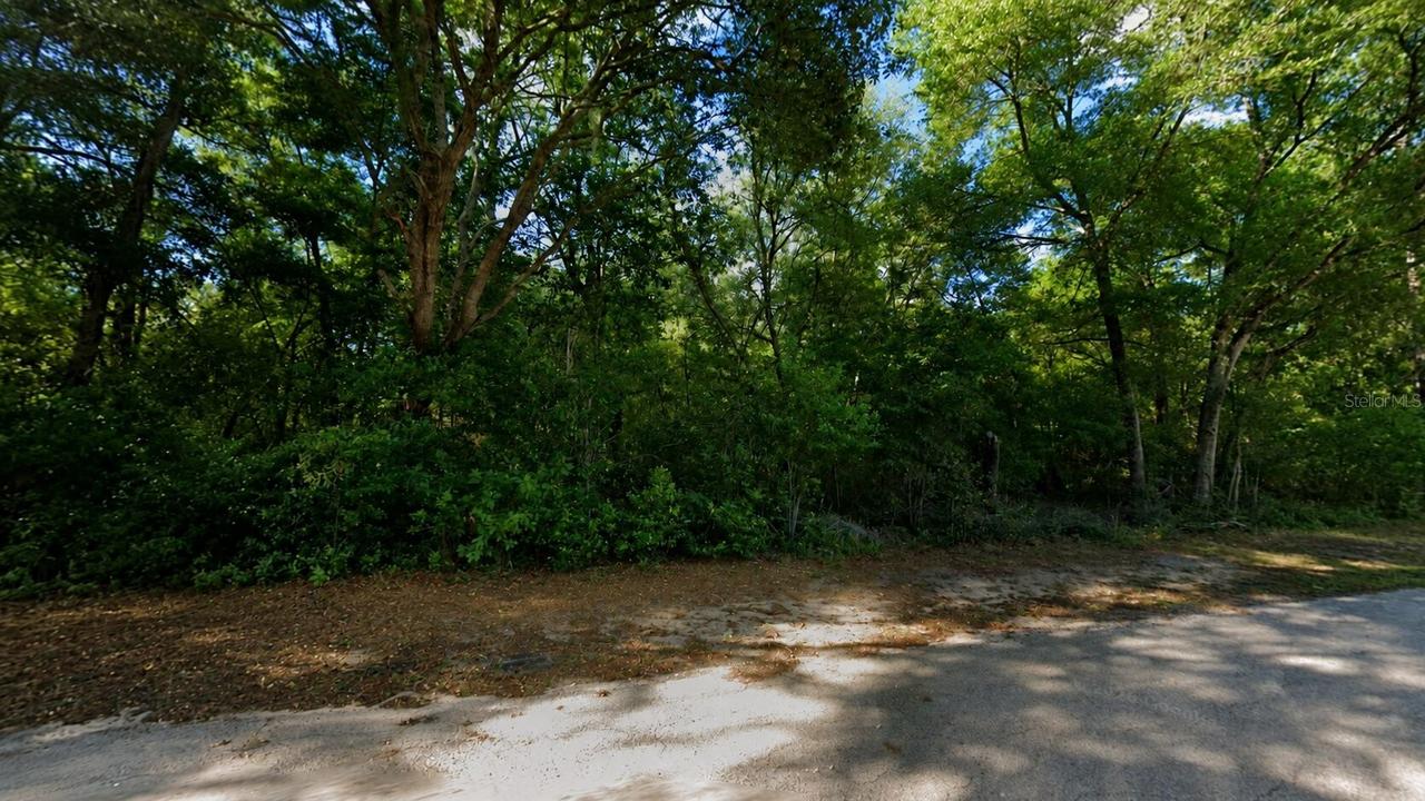 3133 E Lloyd St, Inverness, FL 34453