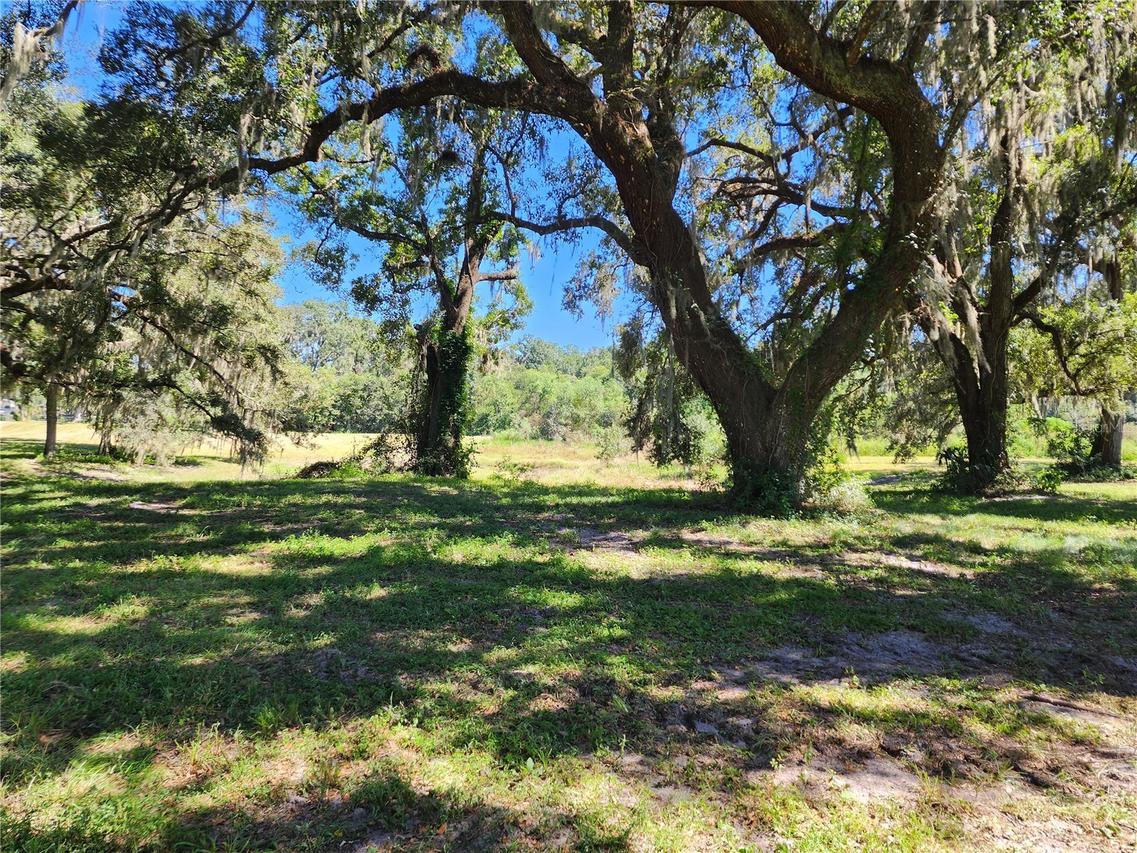 7670 NW 137th Ave., Morriston, FL 32668