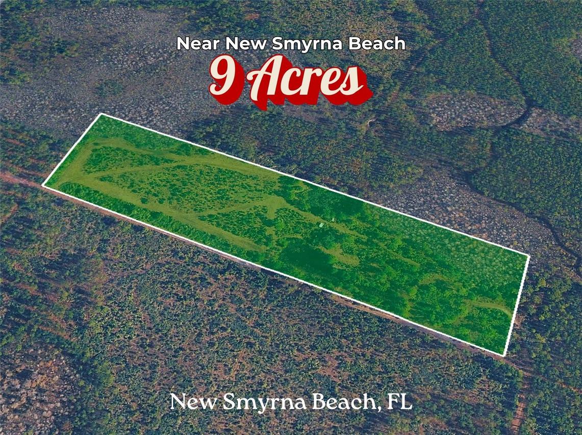 Boy Scout Camp Rd., New Smyrna Beach, FL 32168