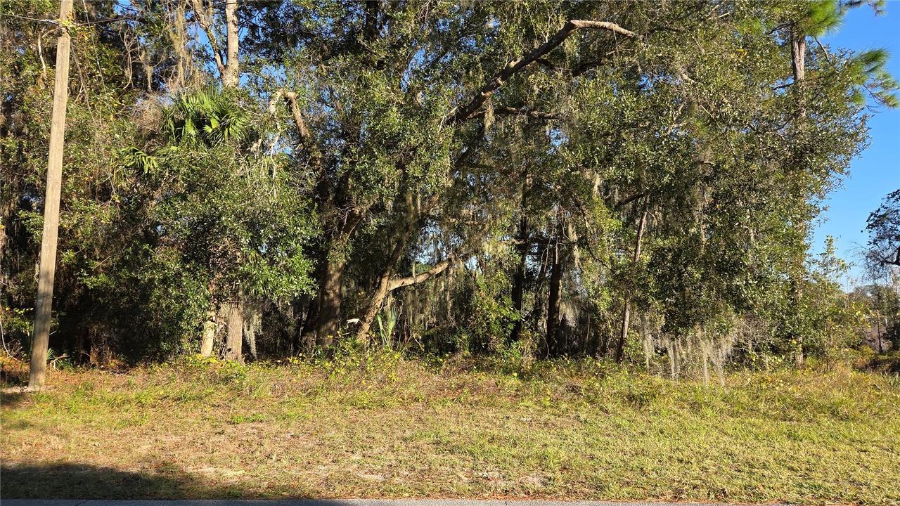 3009 Parma Dr., Deltona, FL 32738