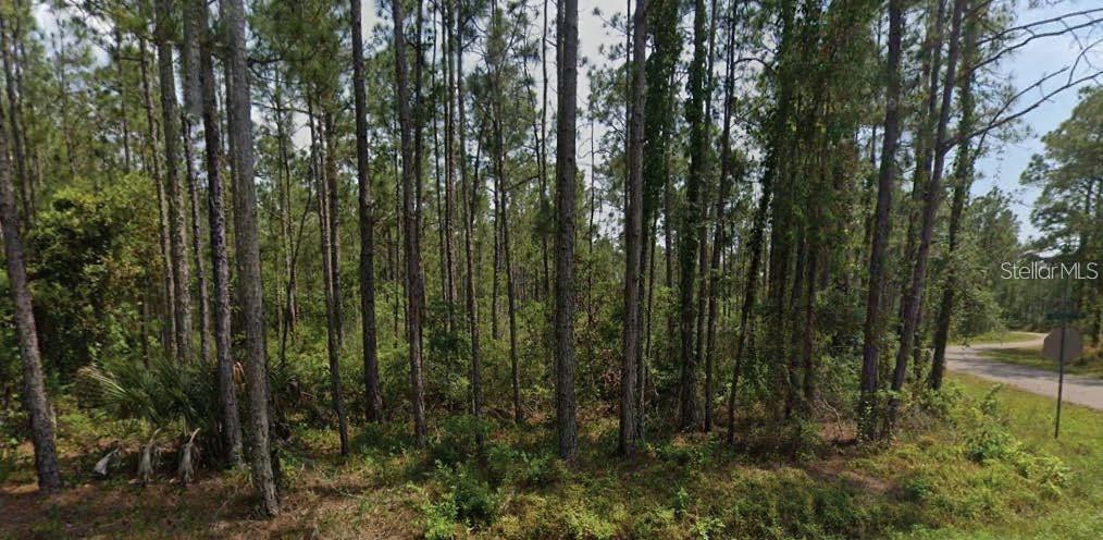 6450 Merrick Dr., Sebring, FL 33872