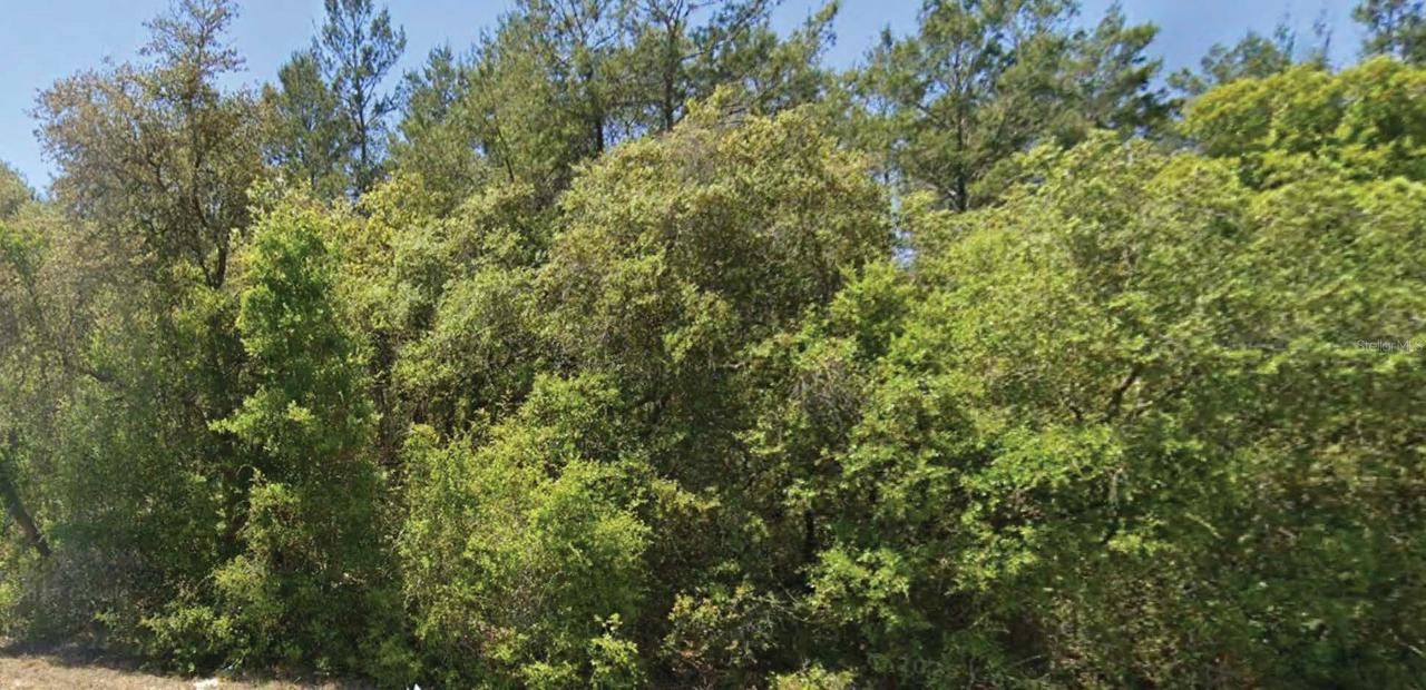 SE 309 Ave., Altoona, FL 32702