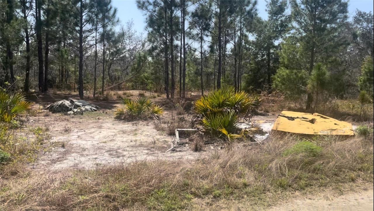 246 Caspian Tern Ave., Sebring, FL 33870