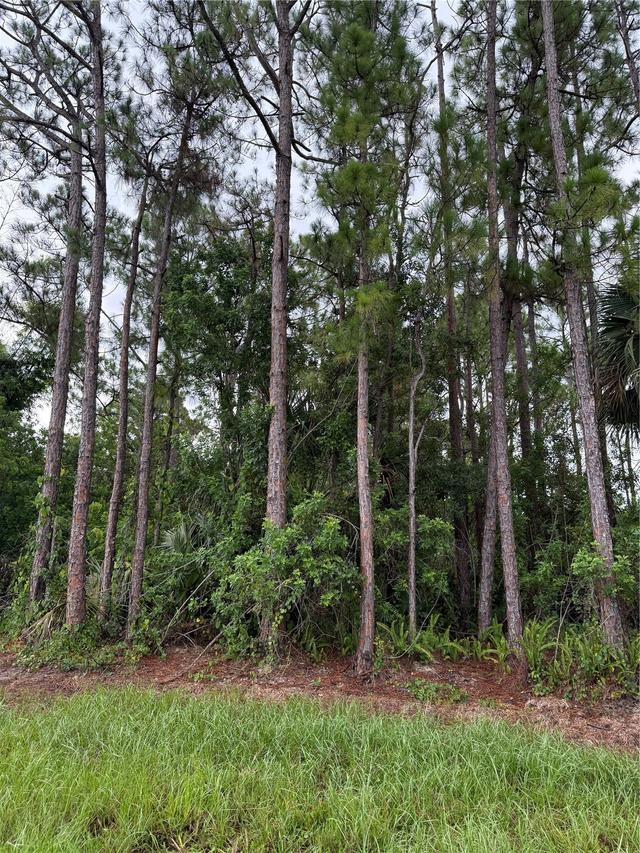2361 San Filippo Dr., Palm Bay, FL 32909