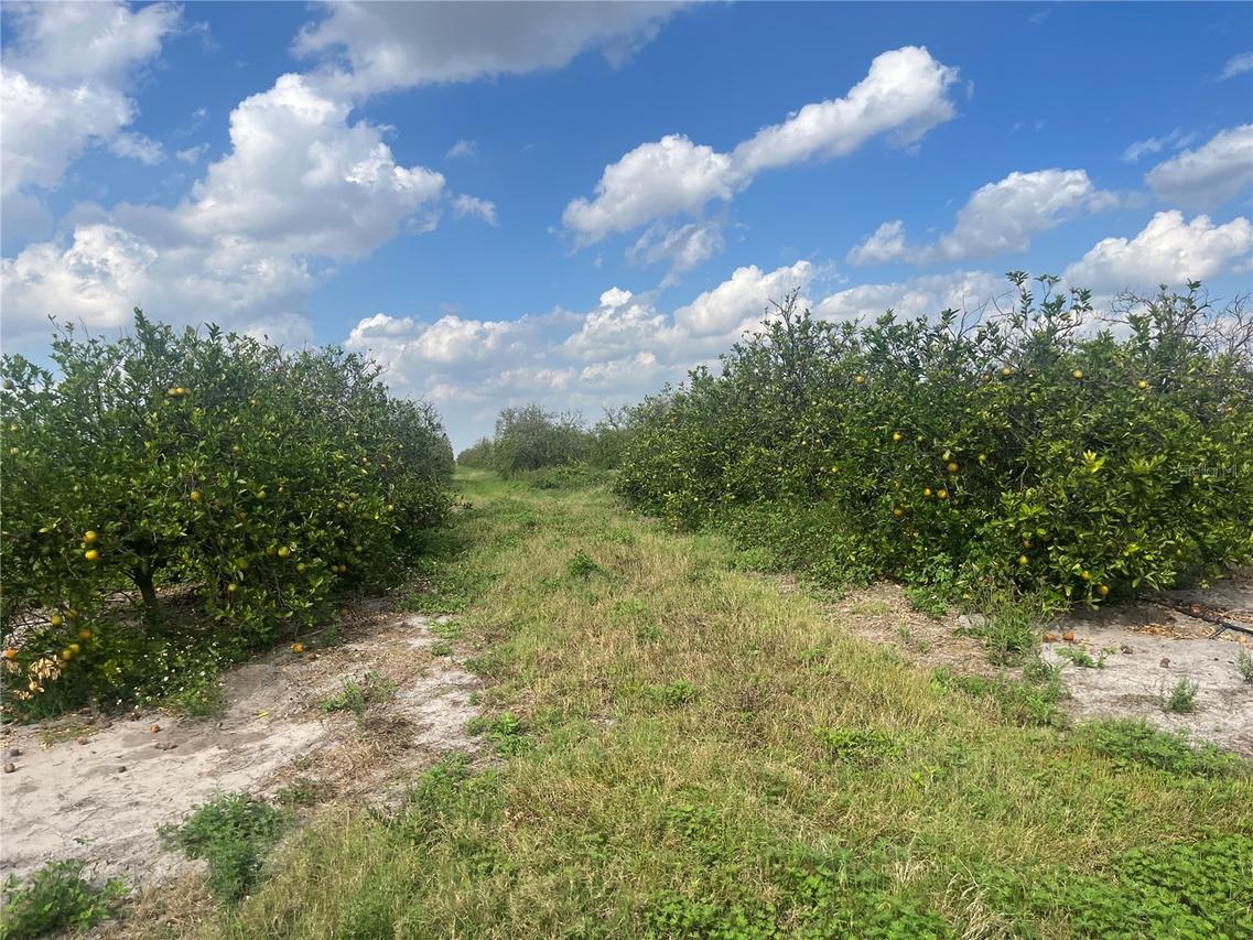 Ne Hwy 70 #04-24-04, Arcadia, FL 34266