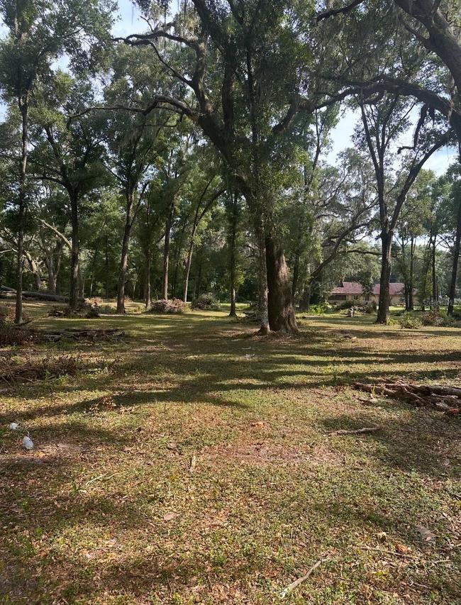 TBD SW 111th Ln., Dunnellon, FL 34432