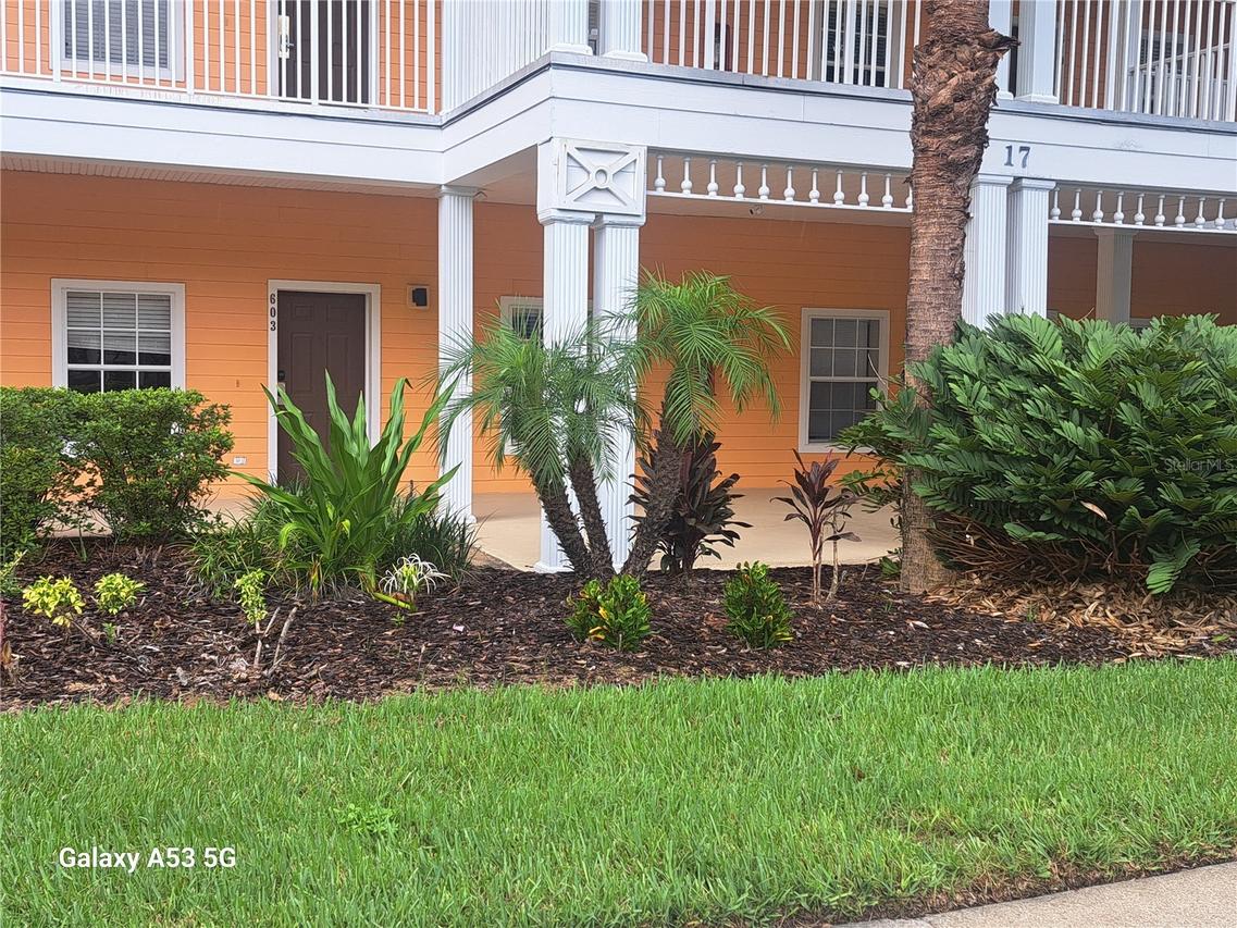 603 New Providence, Davenport, FL 33897