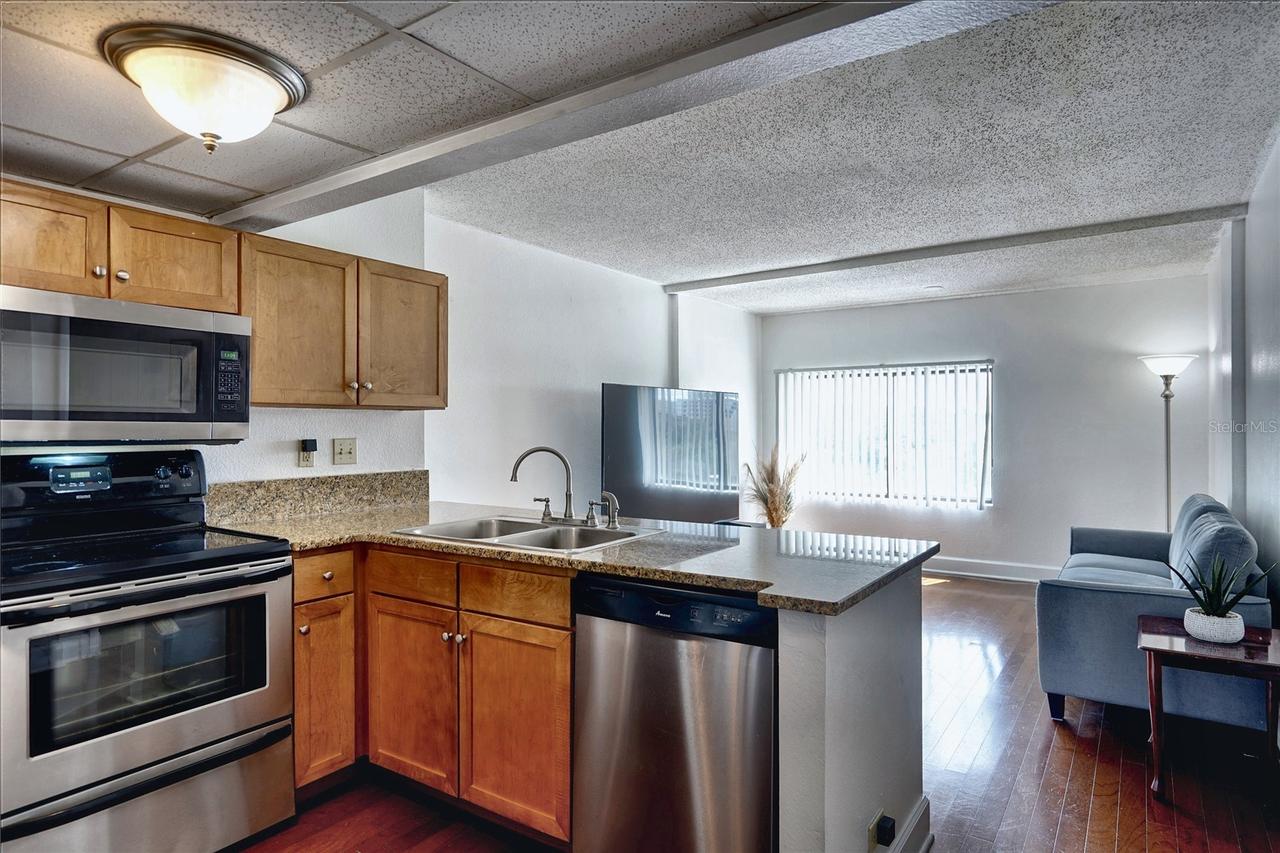 151 E Washington St. #525, Orlando, FL 32801