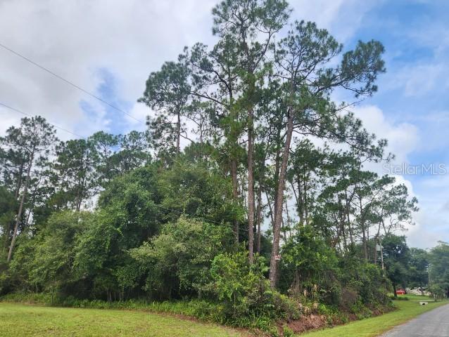 14634 Henson Rd., Orlando, FL 32832