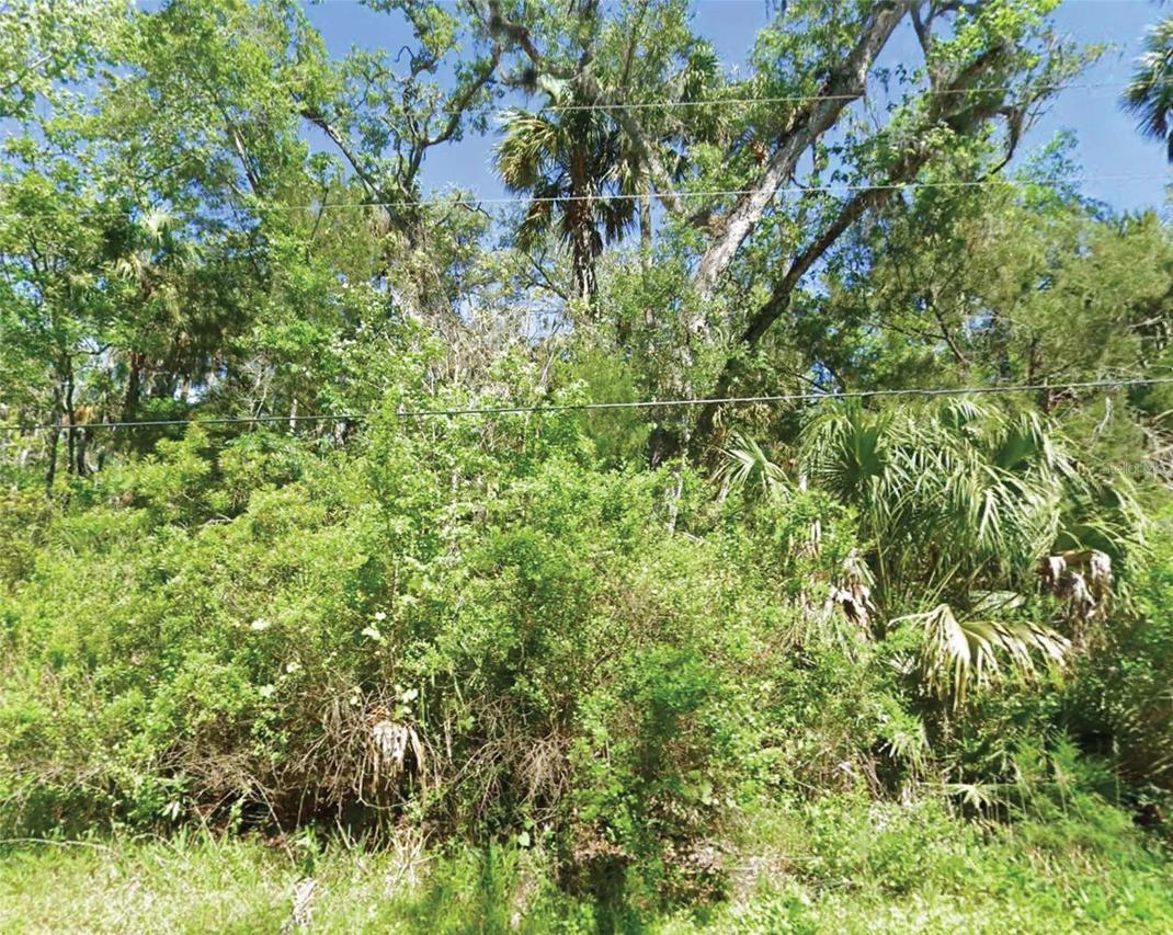 10243 W Palmetto St., Homosassa, FL 34448