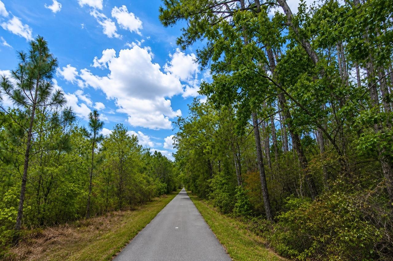 00 Van Fleet Tr., Polk City, FL 33868