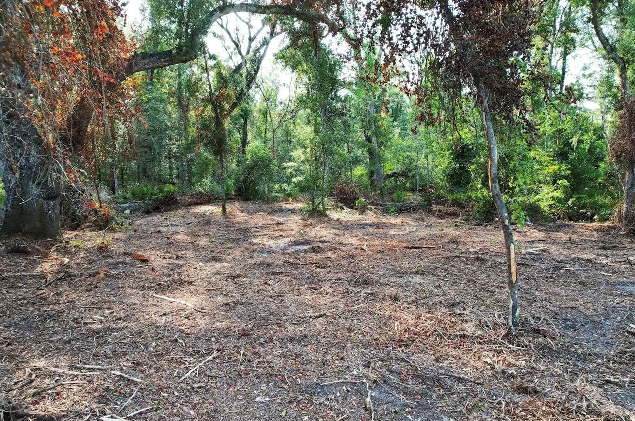 1615 NE 497th St., Old Town, FL 32680