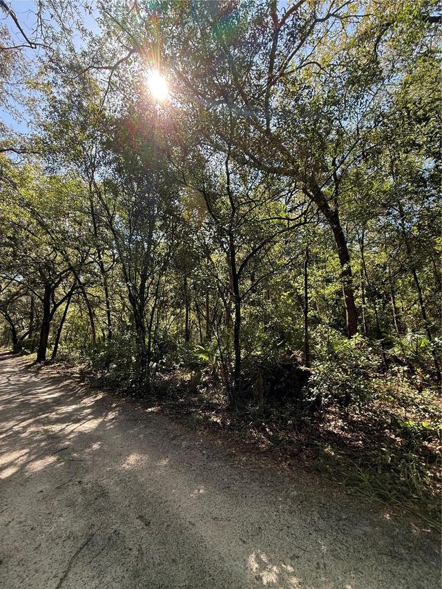 000 SW Tbd Sw 152nd Place Pl., Dunnellon, FL 34432