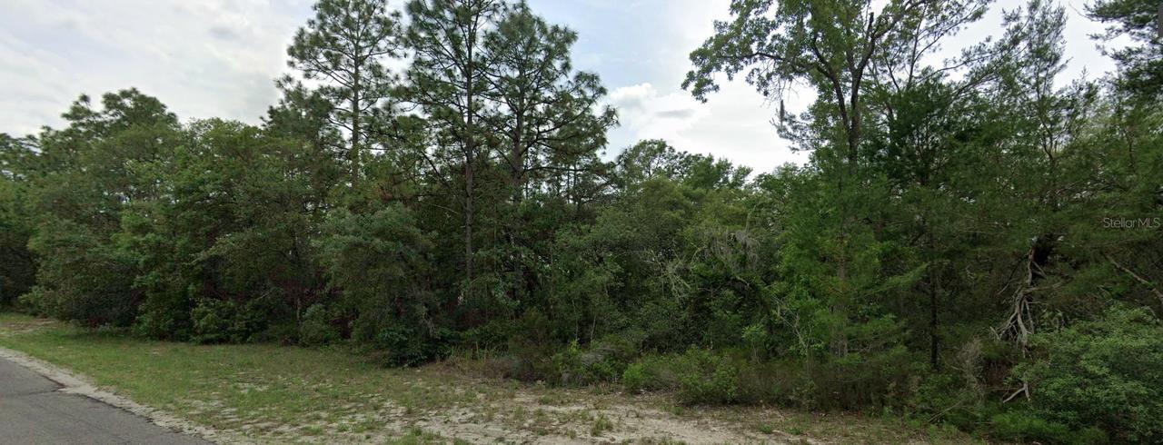 SW 151 Pl., Dunnellon, FL 34432