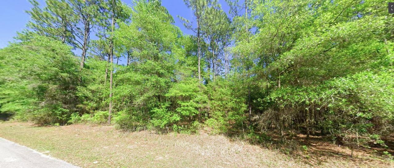 SW 201 St., Dunnellon, FL 34431