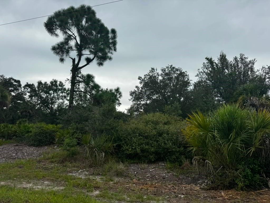 17459 Plains Ave., Port Charlotte, FL 33948