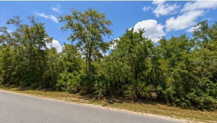 00 Country Rd., Eustis, FL 32726