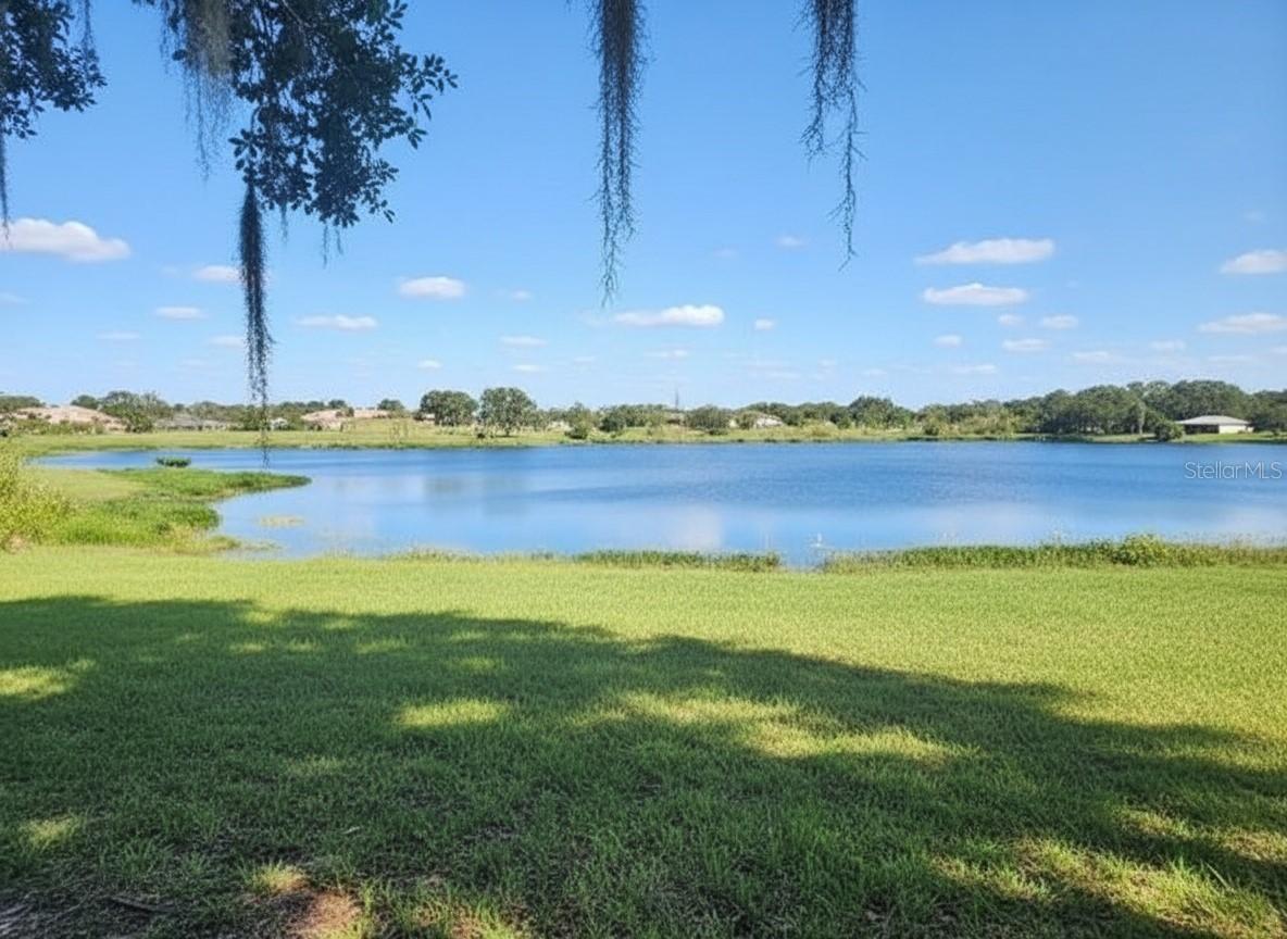 14322 Lake Junietta Dr., Tavares, FL 32778