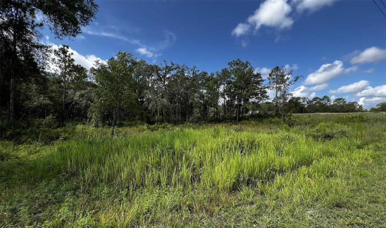 7398 Wagers Dr., Webster, FL 33597