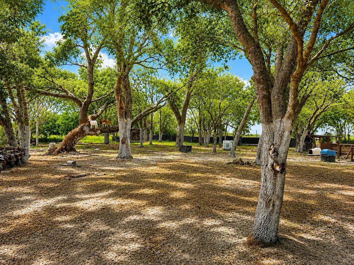 Mammoth Grove Rd., Lake Wales, FL 33898