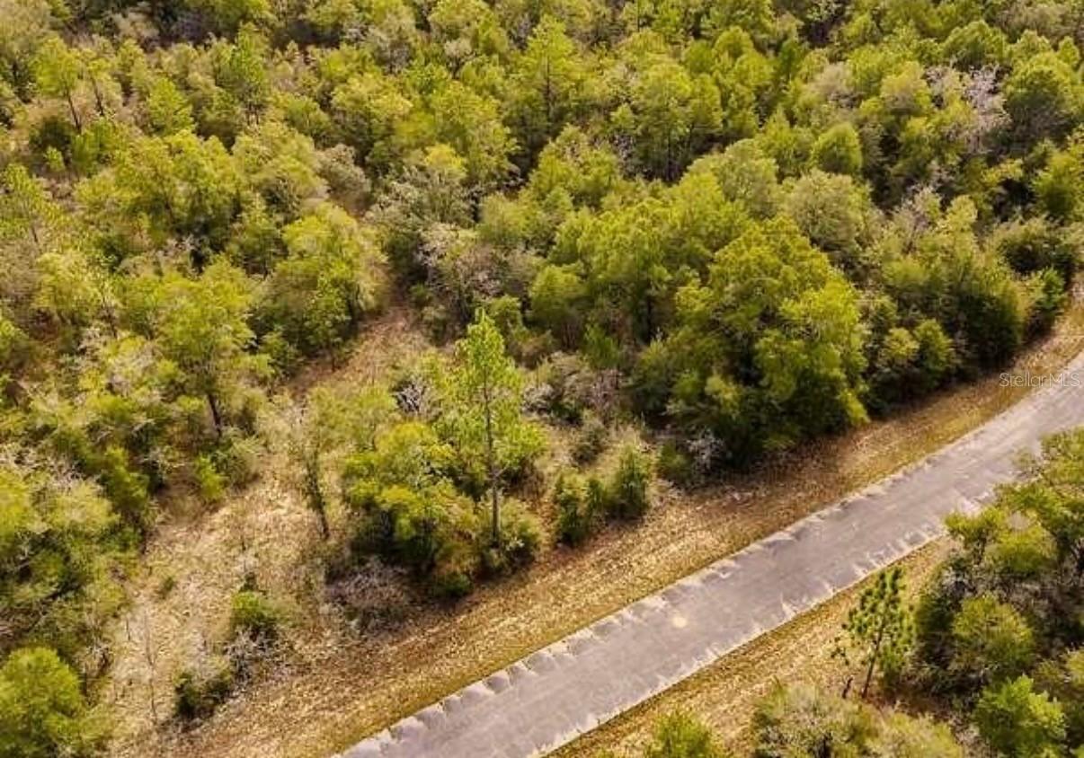 LOT# 42 Dandelion Dr., Chipley, FL 32428