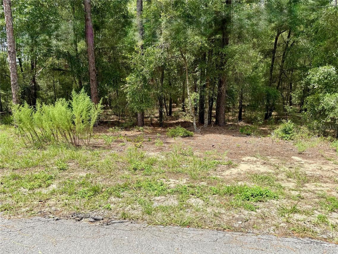 SW Sw 205th Circle Cir., Dunnellon, FL 34431