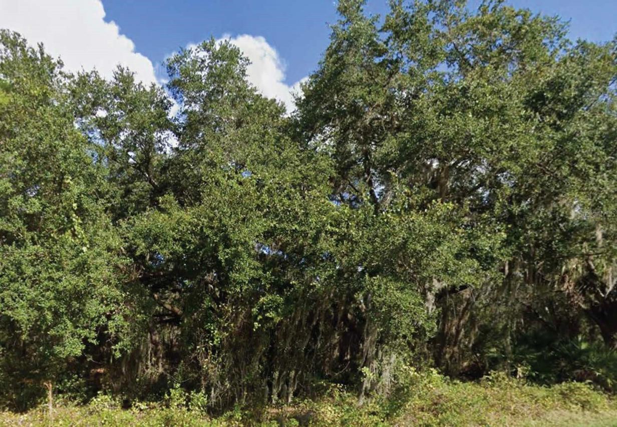 Mineola Dr., Indian Lake Estates, FL 33855