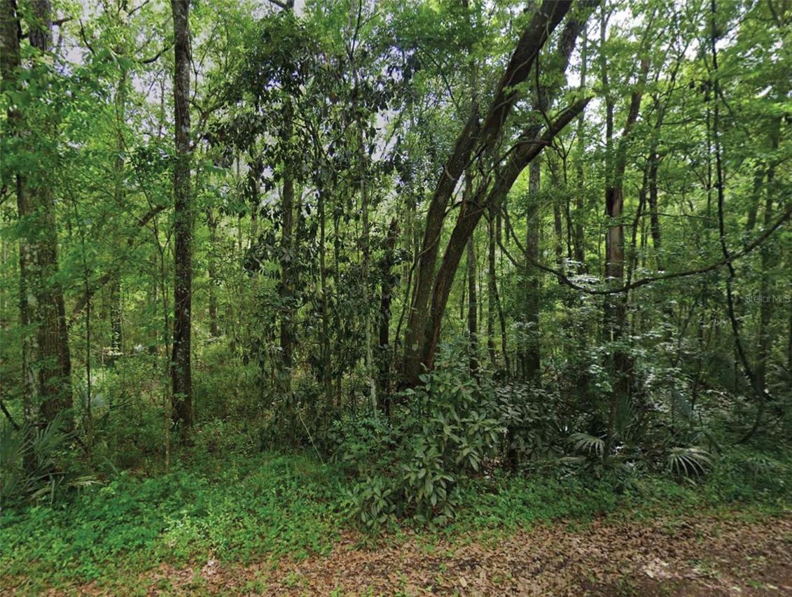 Scenic Dr., Middleburg, FL 32068