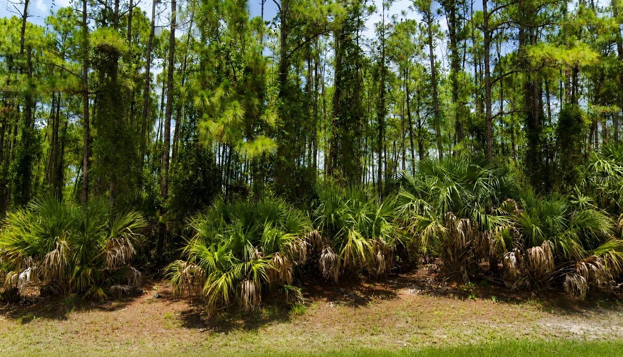 00 Kedgewick Ln., North Port, FL 34288