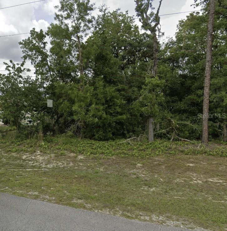 Lot 4 SW 155 Pl., Ocala, FL 34473