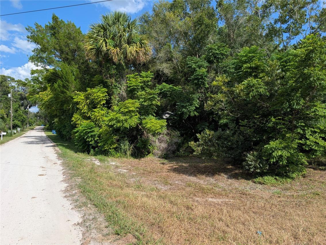 700 Grant Ave., Deland, FL 32724
