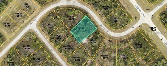 Newman Dr., North Port, FL 34288