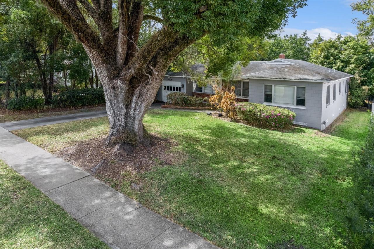 325 N Phelps Ave., Winter Park, FL 32789