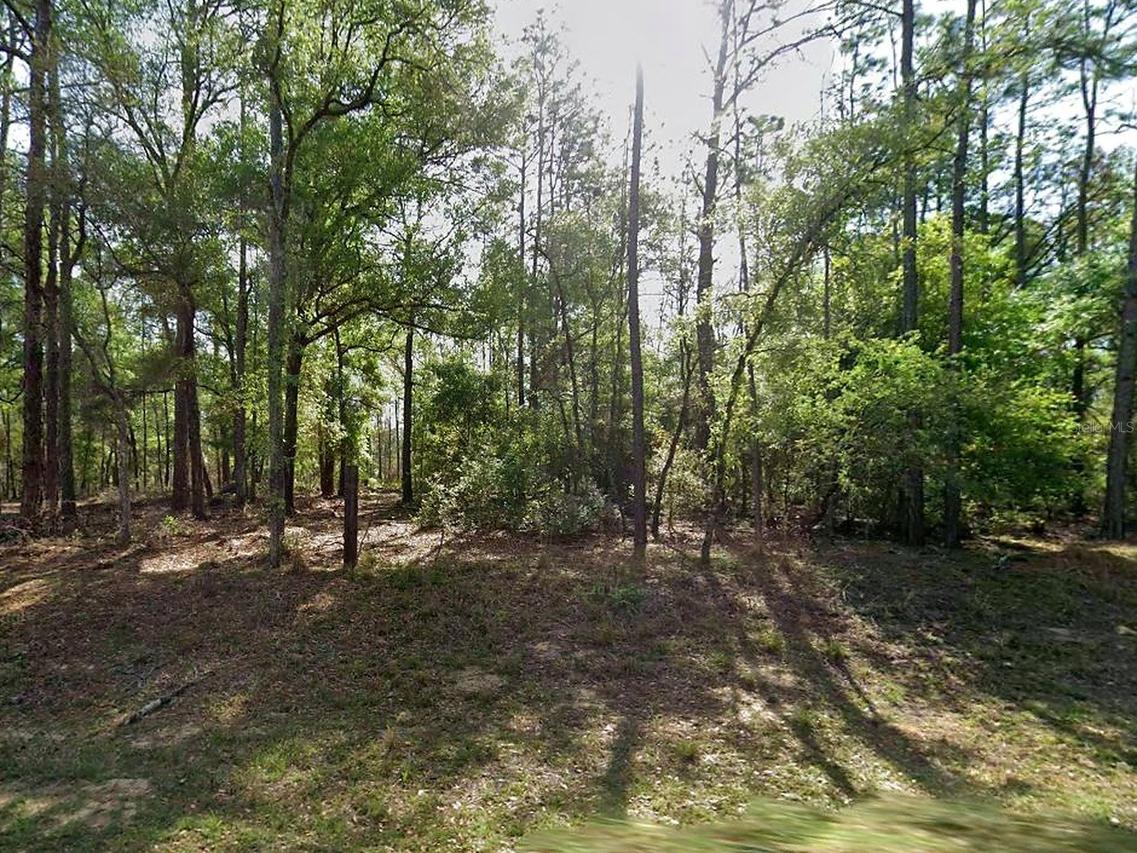 8319 N Yellowbird Ave., Citrus Springs, FL 34434