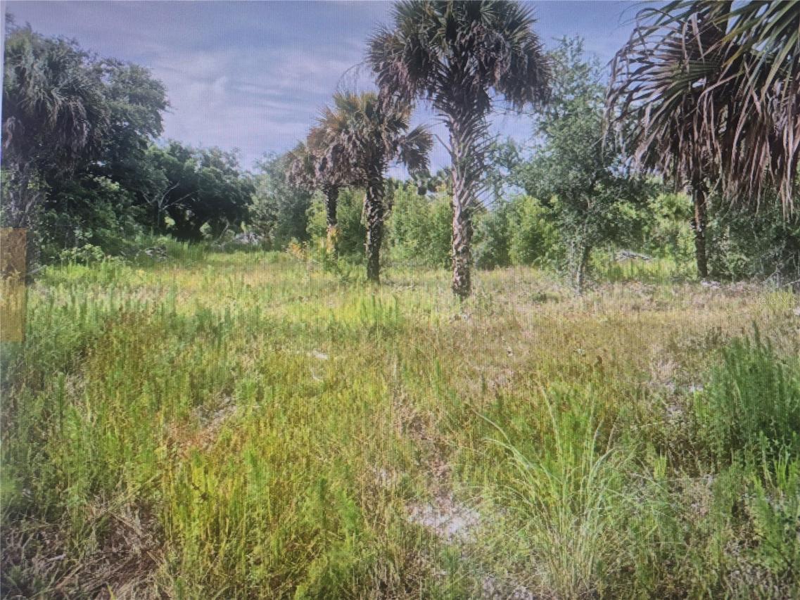 16793 NW 284th St., Okeechobee, FL 34972