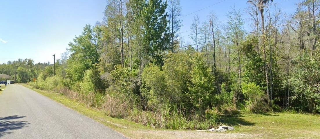 26611 C C Ln., Wesley Chapel, FL 33544